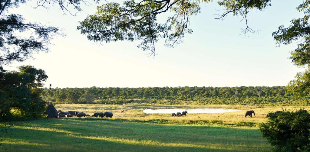 IVORY-LODGE-26