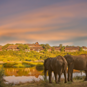 8 Nights Mana Pools, Hwange & Victoria Falls Highlights Safari