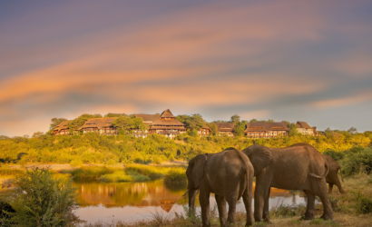 8 Nights Mana Pools, Hwange & Victoria Falls Highlights Safari