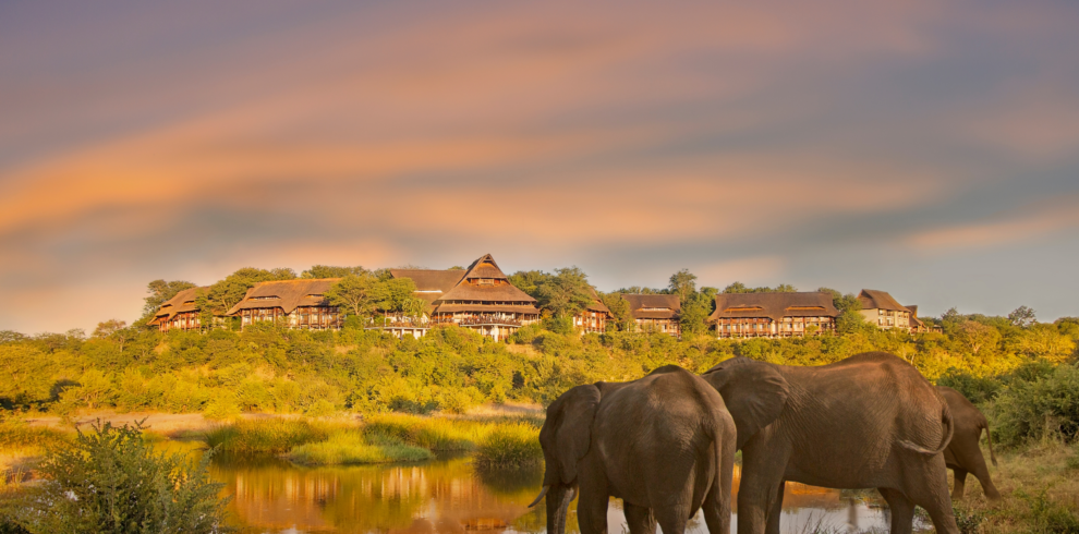 8 Nights Mana Pools, Hwange & Victoria Falls Highlights Safari