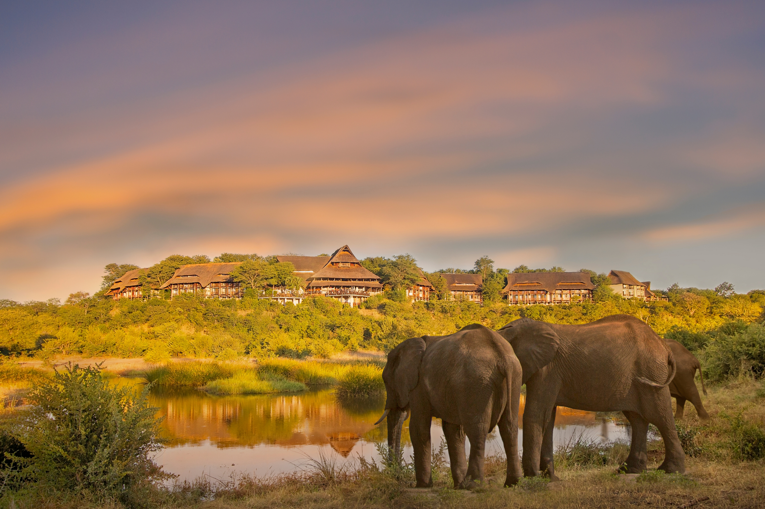 8 Nights Mana Pools, Hwange & Victoria Falls Highlights Safari
