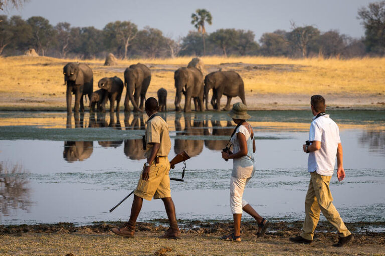 12 Nights · 13 Days Kafue, South Luangwa and Lower Zambezi Fly-In Safari