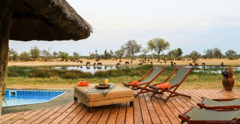 14 Nights Ultimate Wildlife Safari