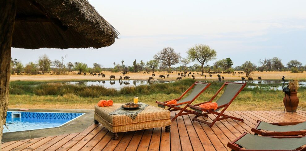 bomani tented camp