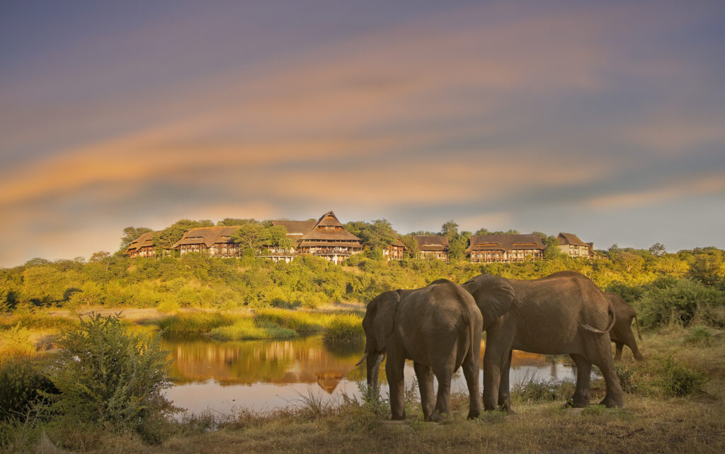 victoria falls safari lodge waterhole