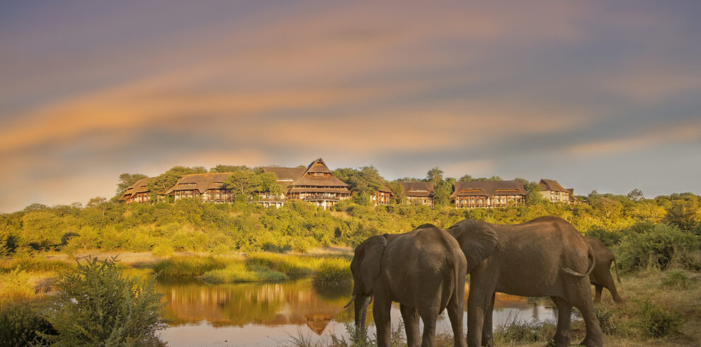 victoria falls safari lodge waterhole