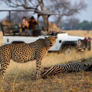 13 Day Zimbabwe Safari