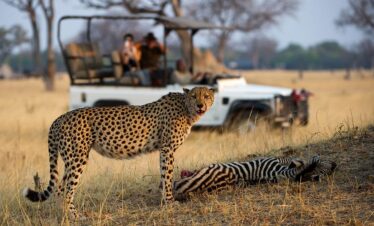 13 Day Zimbabwe Safari