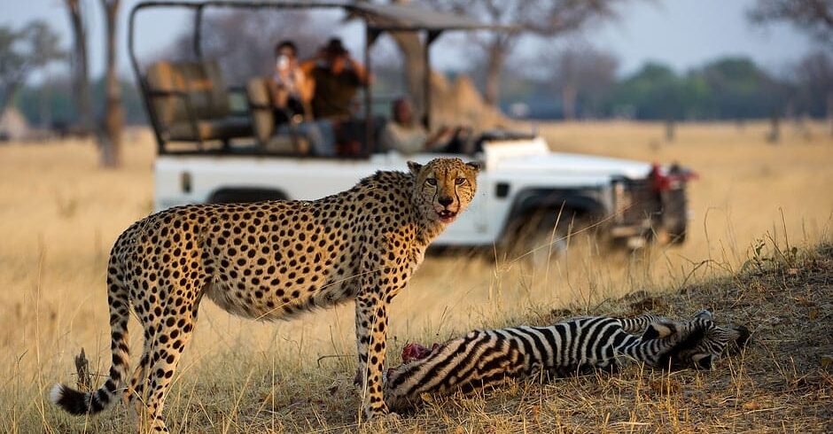 13 Day Zimbabwe Safari