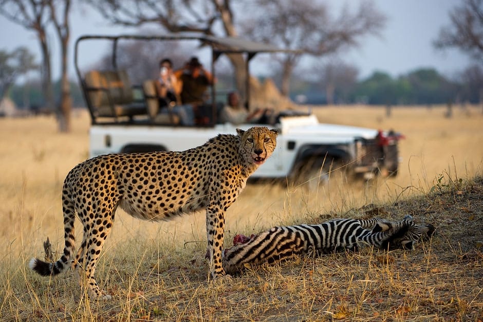 13 Day Zimbabwe Safari