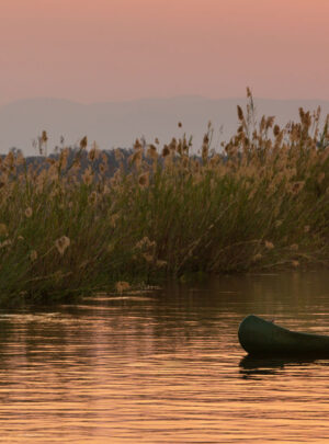 mana pools national park