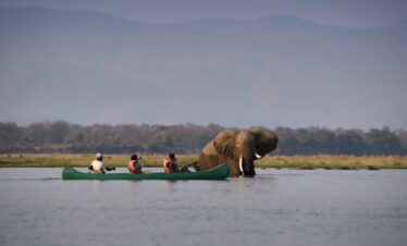Mana Pools national park