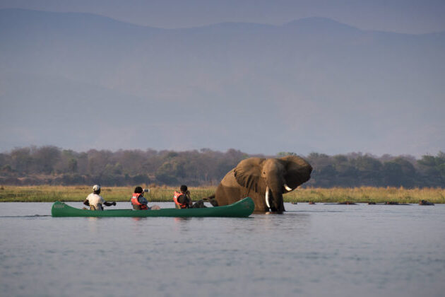 Mana Pools national park