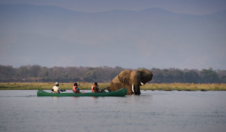 Mana Pools national park