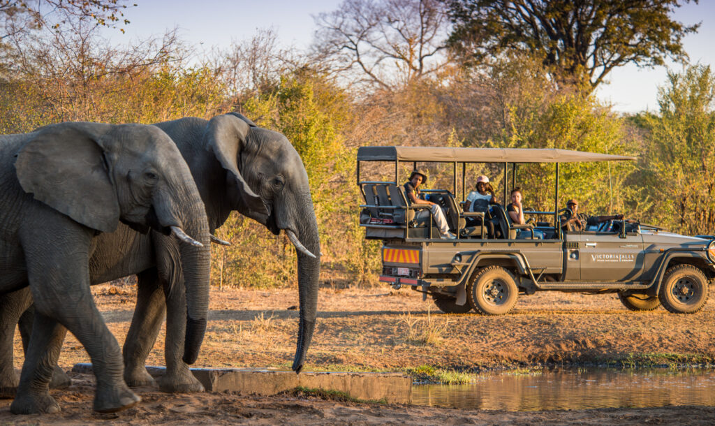 Stanley & Livingstone Boutique Hotel_4_Safari & Activities-88