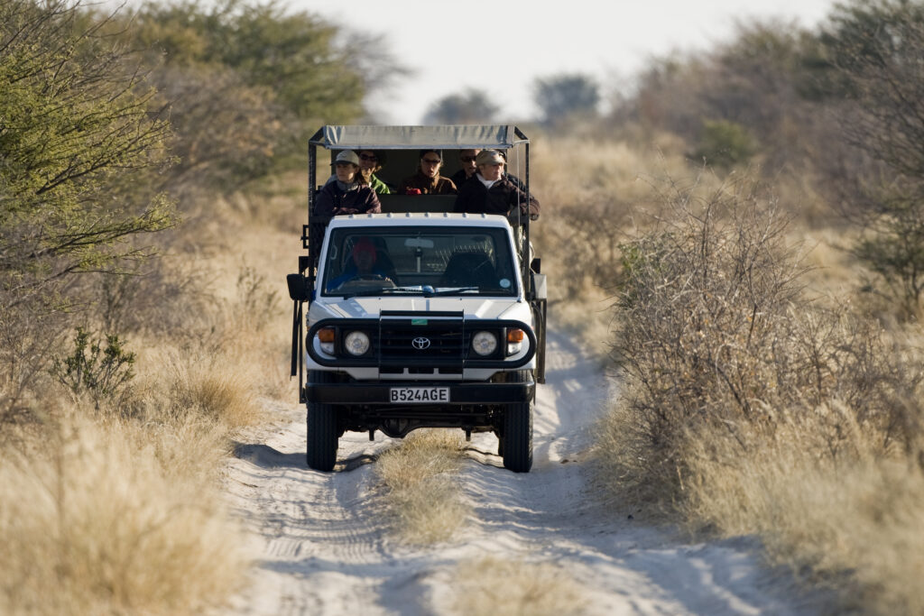 botswana game drive