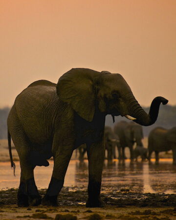 zimbabwe travel info