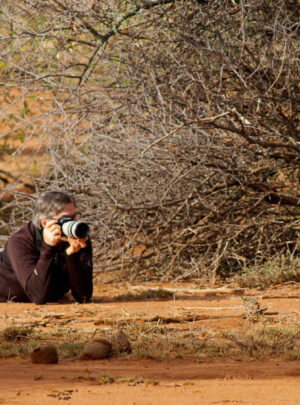 photographic safaris