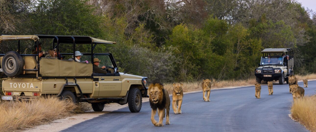 south africa visa requirements