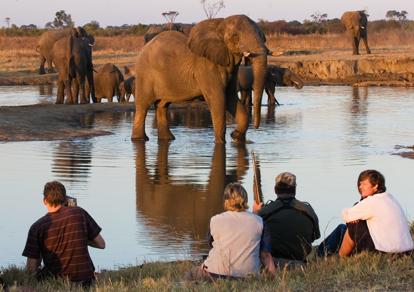 the-hide-hwange-national-park12