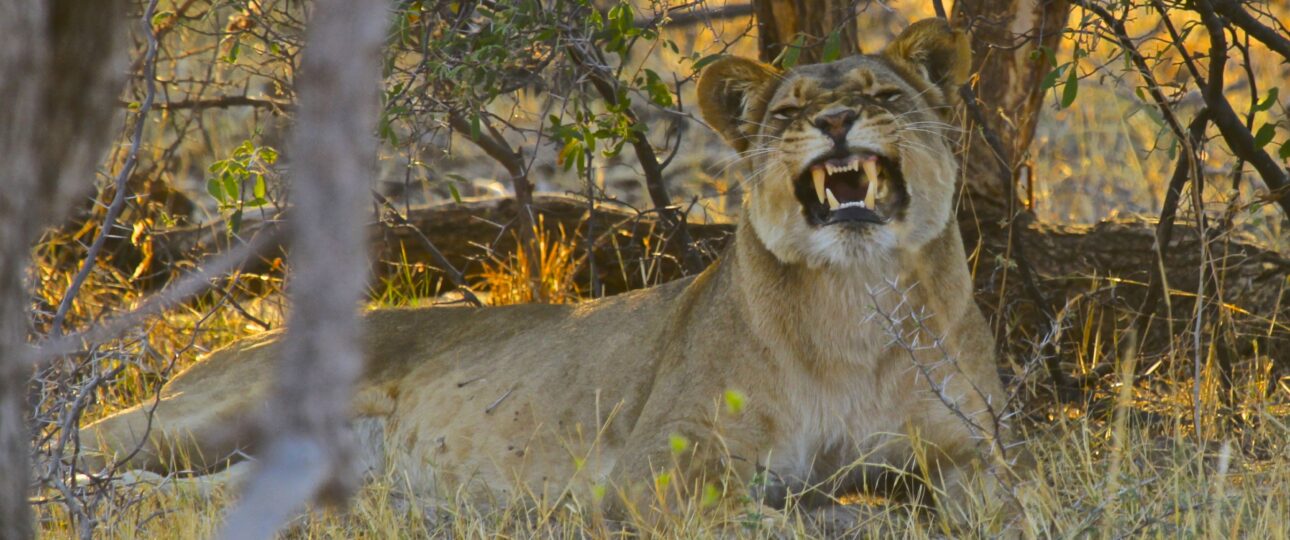 matusadona national park