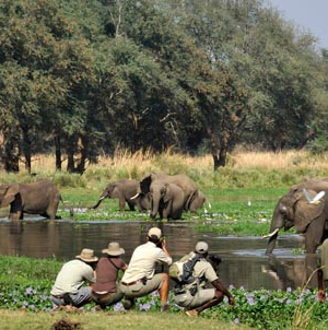 special interest safaris