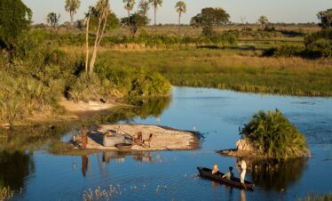 okavango delta