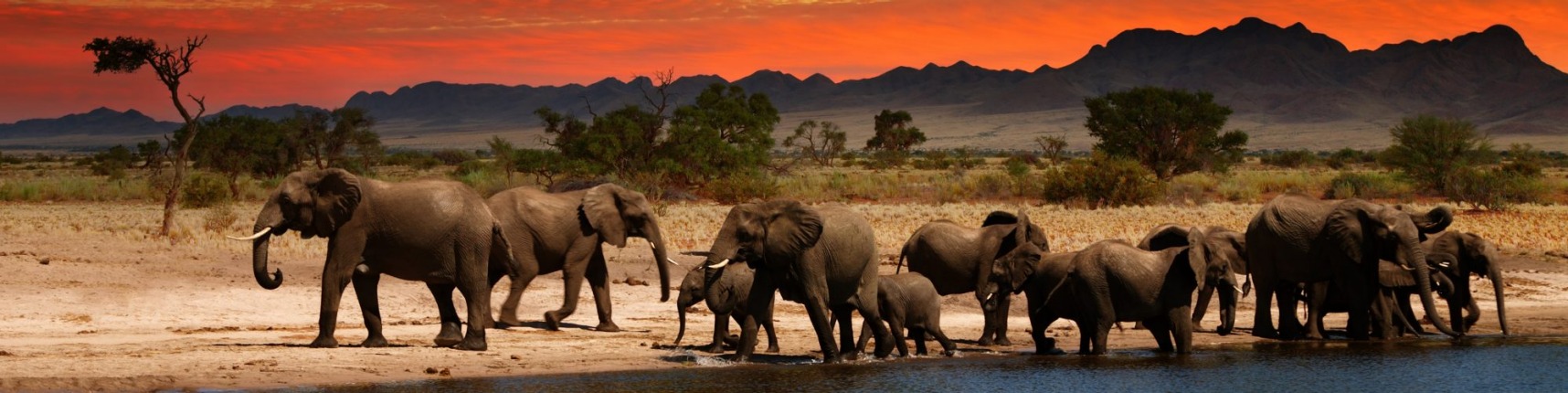 Africa Travel Guide