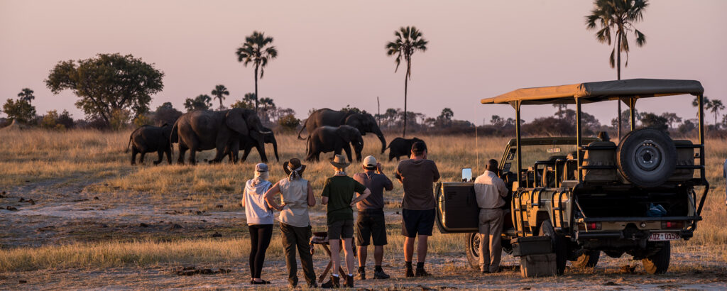 13 Day Zimbabwe Safari