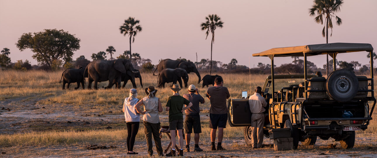 13 Day Zimbabwe Safari