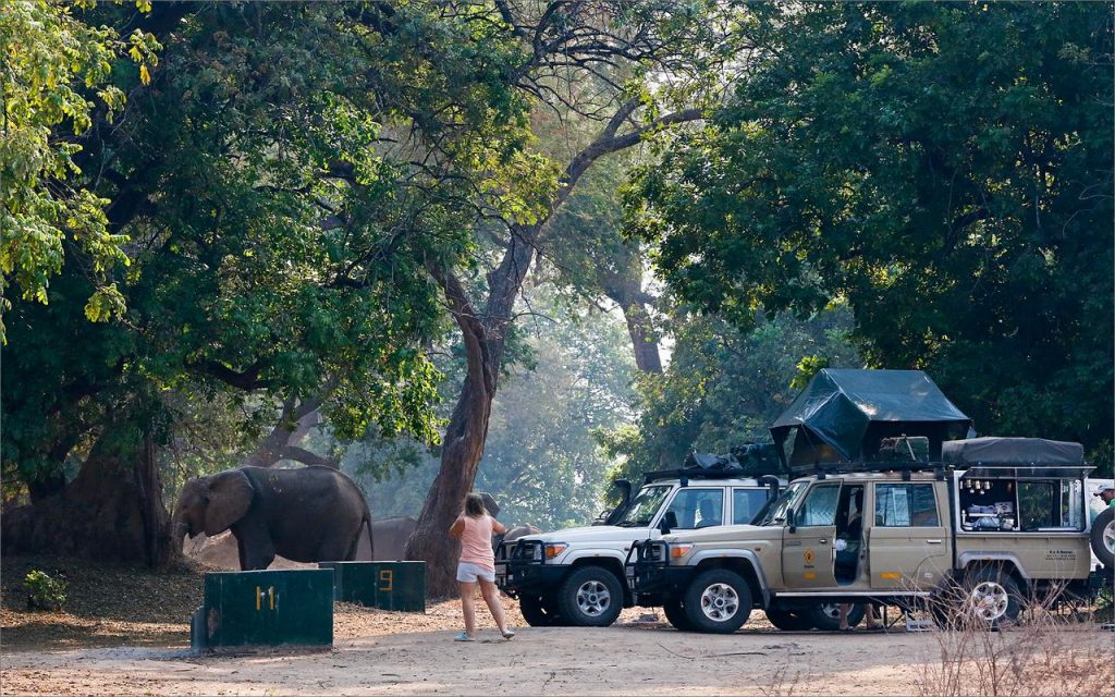 mana pools camping