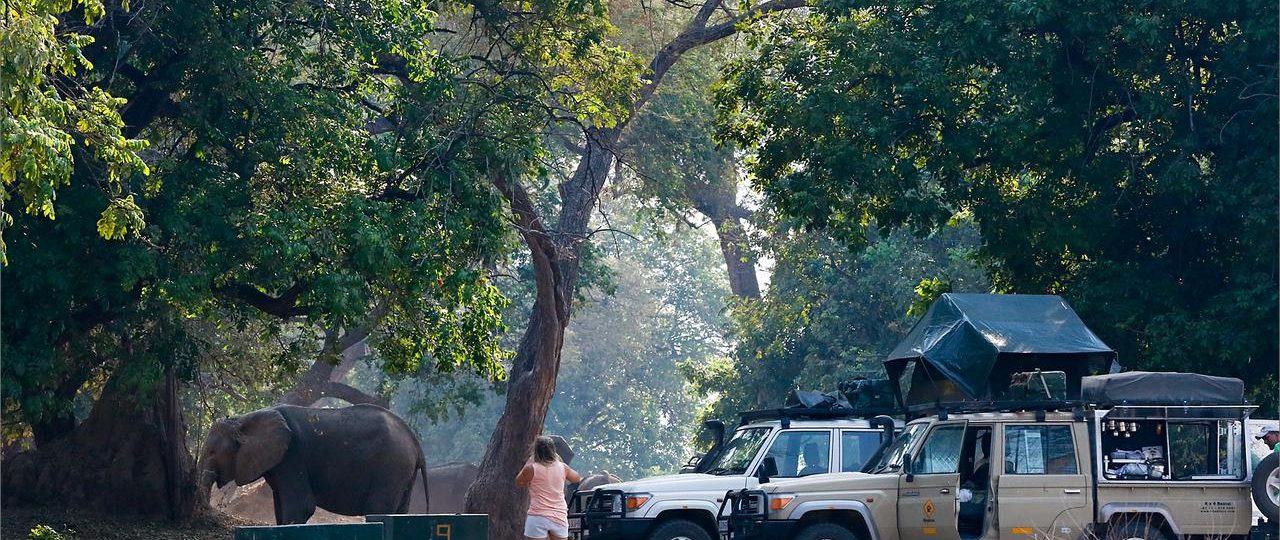 mana pools camping