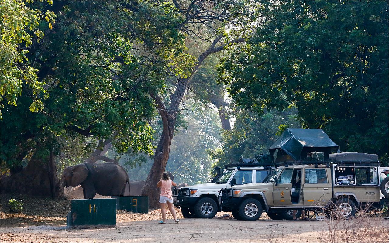 mana pools camping