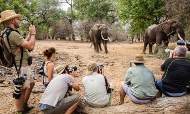 10 Nights Zambezi Magic Safari