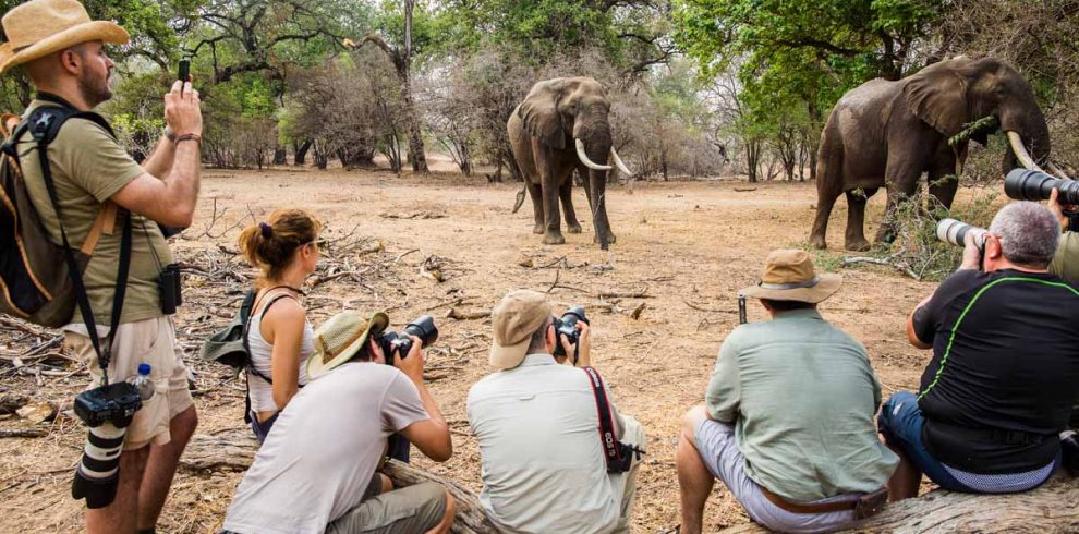 10 Nights Zambezi Magic Safari